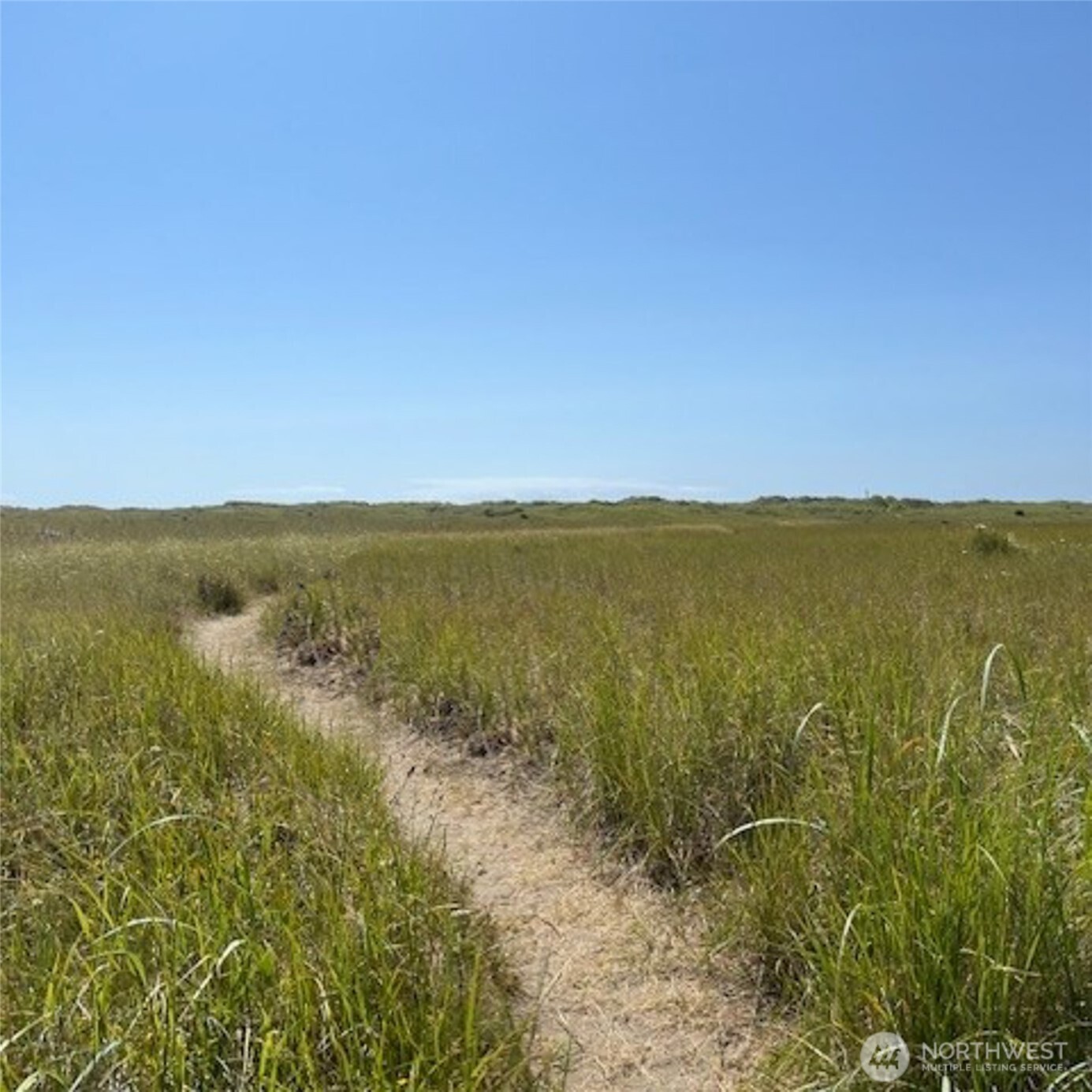 2 Dolphin Lane , Copalis Beach, WA 98535