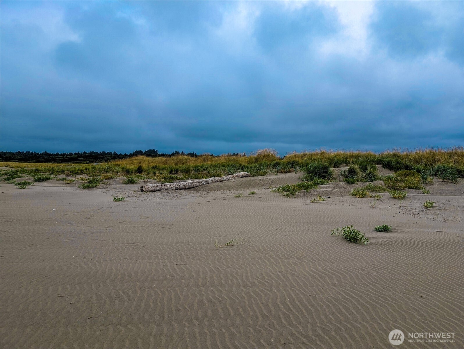 2 Dolphin Lane , Copalis Beach, WA 98535