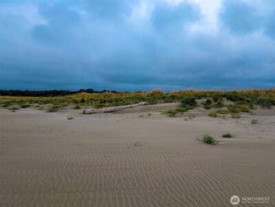 2 Dolphin Lane , Copalis Beach, WA 98535 - Photo 16