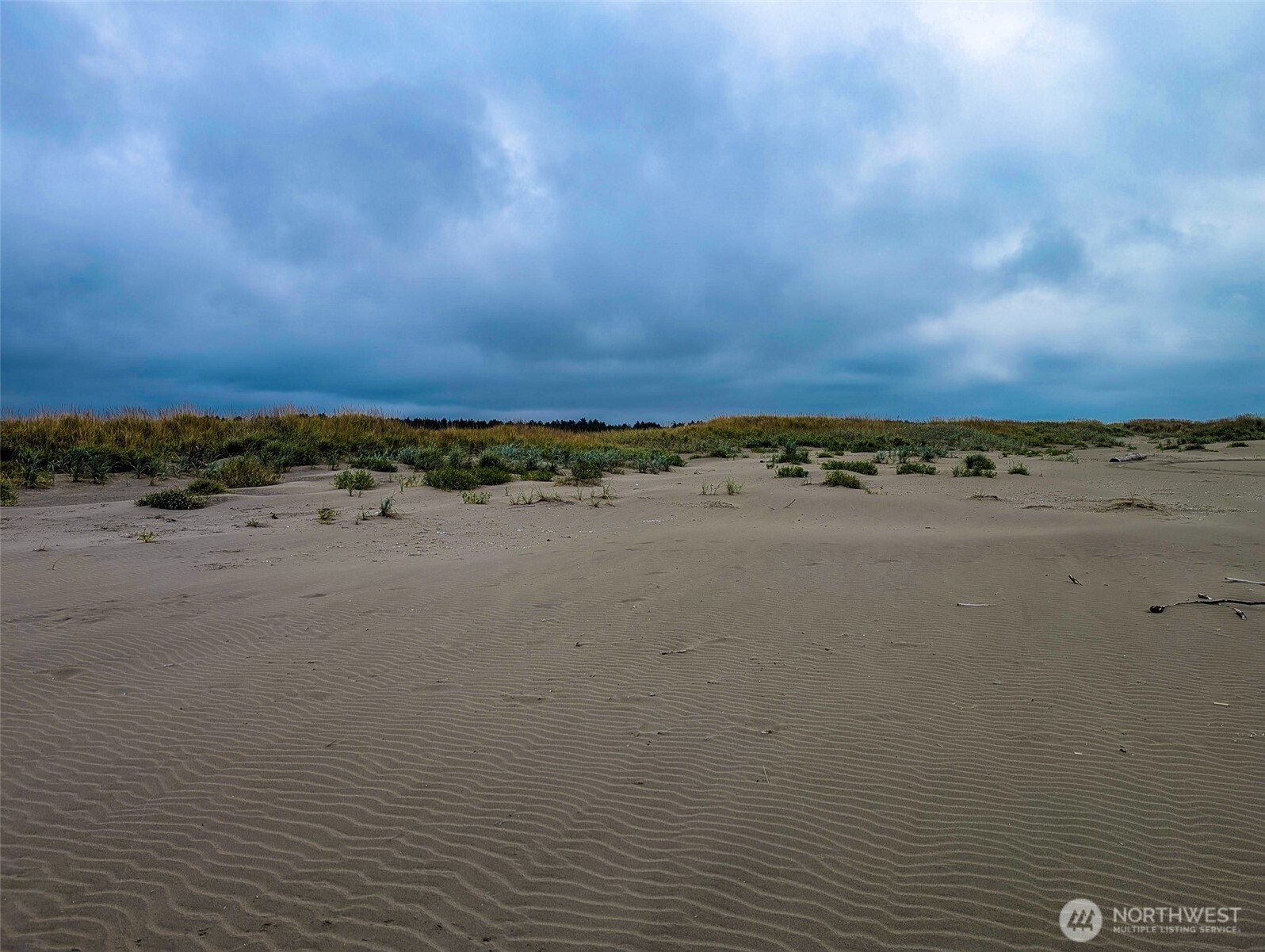 2 Dolphin Lane , Copalis Beach, WA 98535