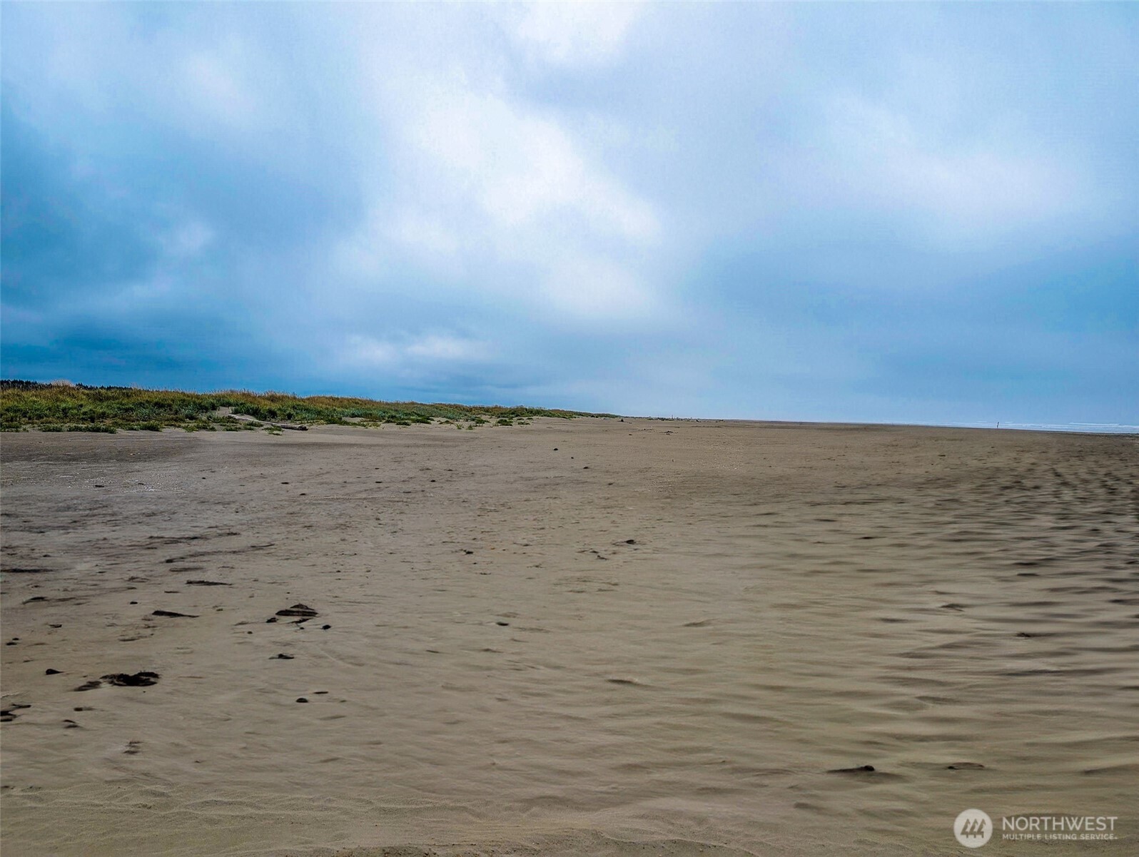 2 Dolphin Lane , Copalis Beach, WA 98535