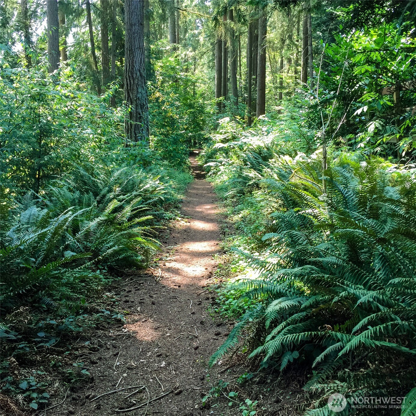 2 Dolphin Lane , Copalis Beach, WA 98535