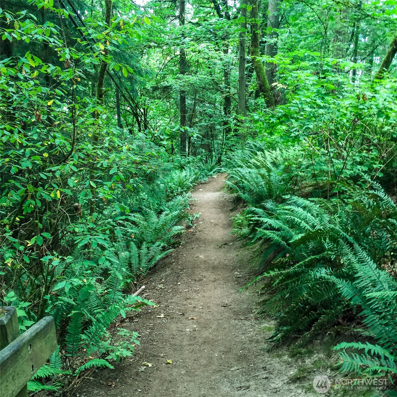 2 Dolphin Lane , Copalis Beach, WA 98535