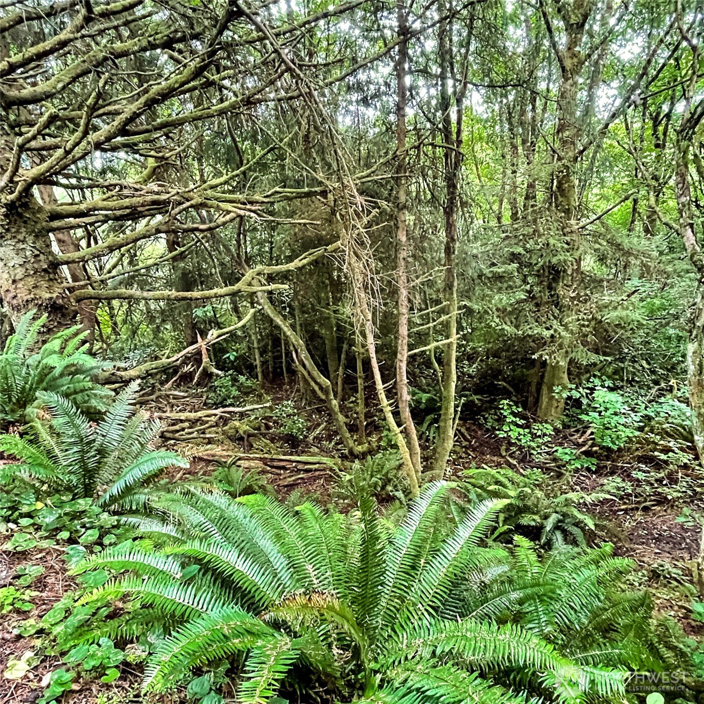 2 Dolphin Lane , Copalis Beach, WA 98535