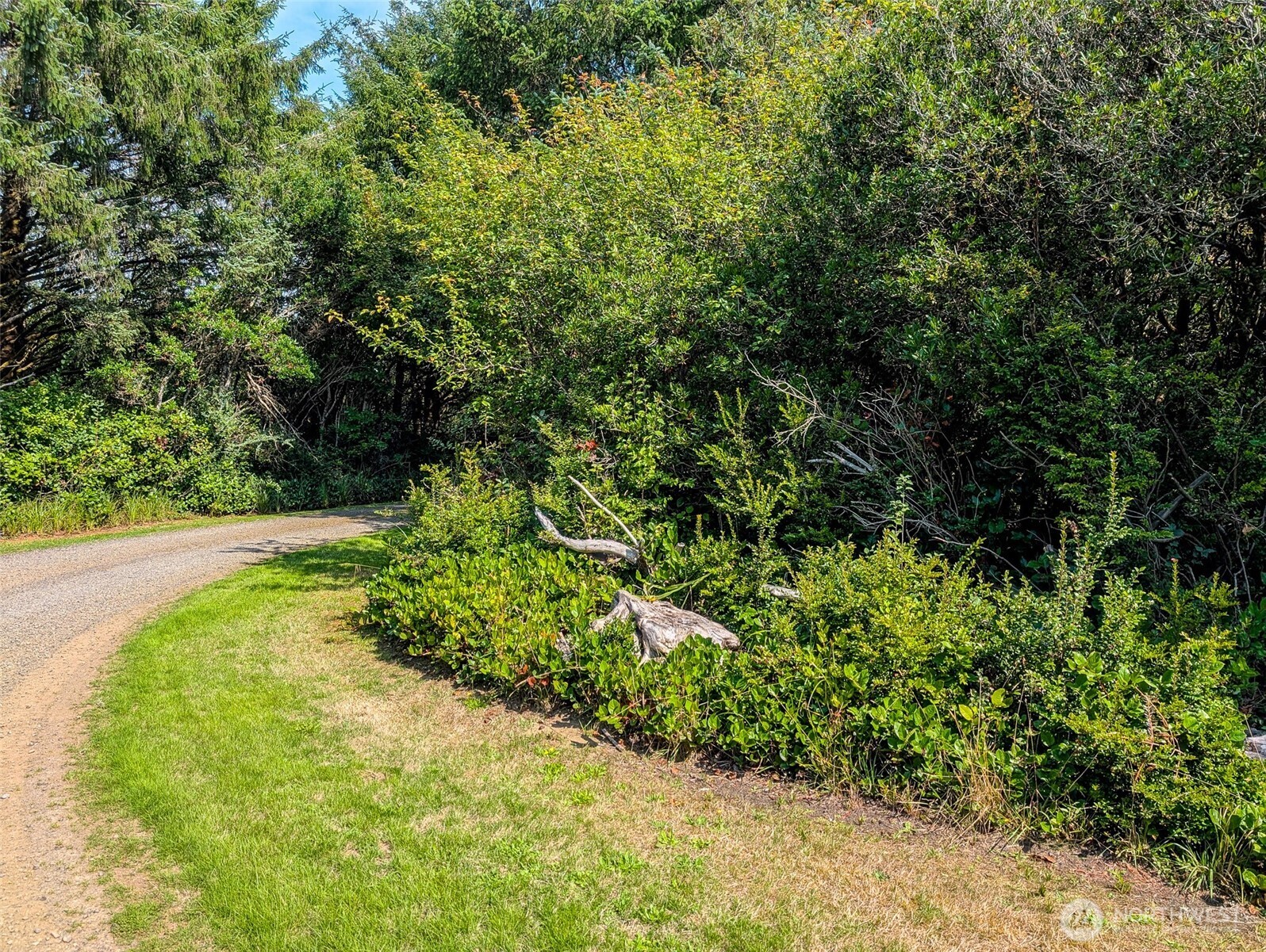 2 Dolphin Lane , Copalis Beach, WA 98535