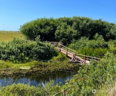 2 Dolphin Lane , Copalis Beach, WA 98535 - Photo 10