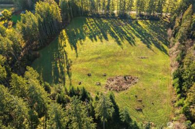 12302 SW 220th Street , Vashon, WA 98070 - Photo 13