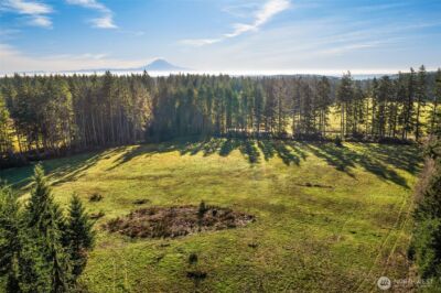 12302 SW 220th Street , Vashon, WA 98070 - Photo 3