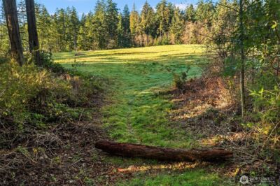 12302 SW 220th Street , Vashon, WA 98070 - Photo 8