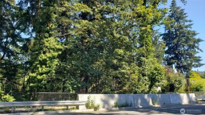 120 XX SE May Creek Park Drive , Newcastle, WA 98059 - Photo 5