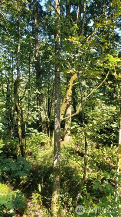 120 XX SE May Creek Park Drive , Newcastle, WA 98059 - Photo 6