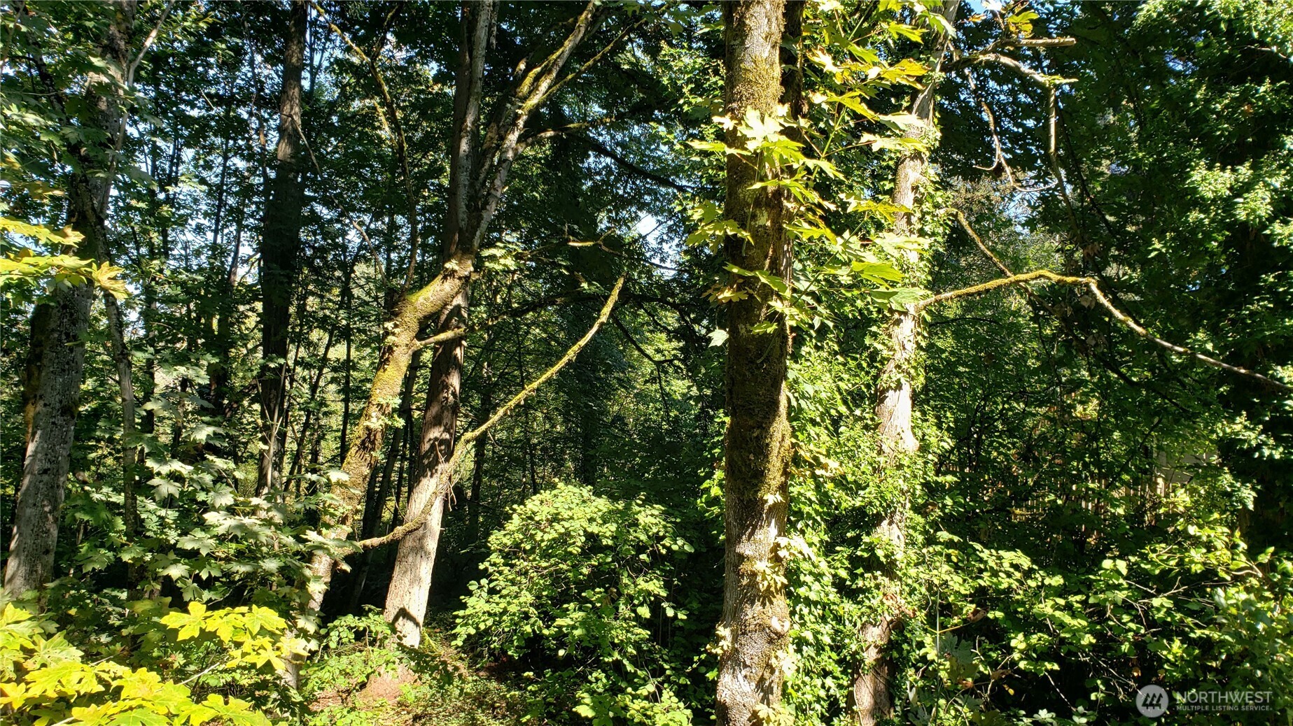 120 XX SE May Creek Park Drive , Newcastle, WA 98059