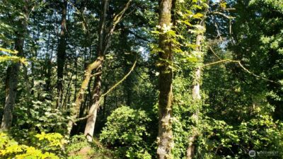 120 XX SE May Creek Park Drive , Newcastle, WA 98059 - Photo 7