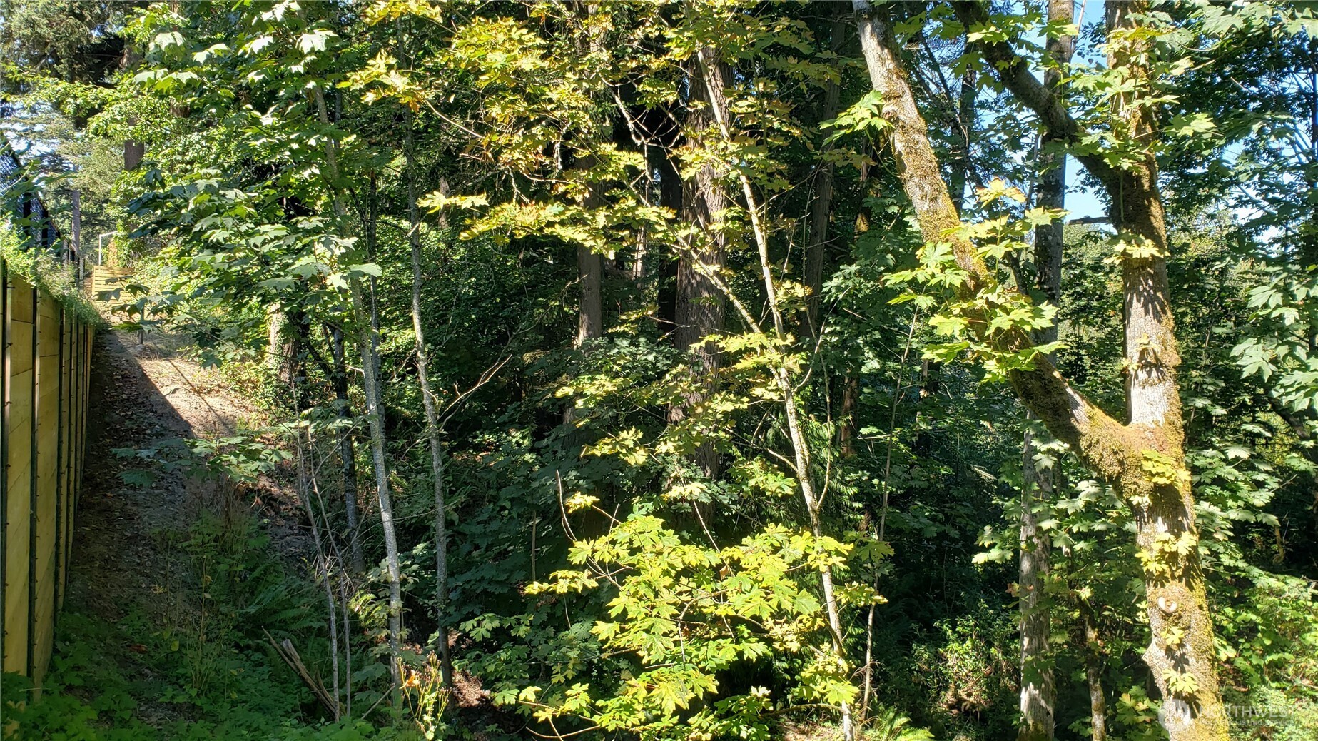 120 XX SE May Creek Park Drive , Newcastle, WA 98059