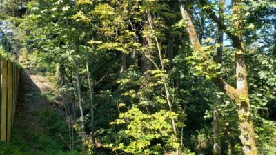 120 XX SE May Creek Park Drive , Newcastle, WA 98059 - Photo 8