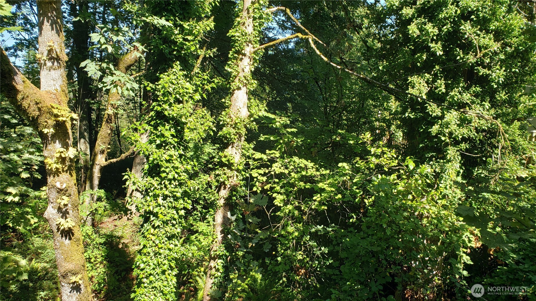 120 XX SE May Creek Park Drive , Newcastle, WA 98059