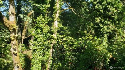 120 XX SE May Creek Park Drive , Newcastle, WA 98059 - Photo 9