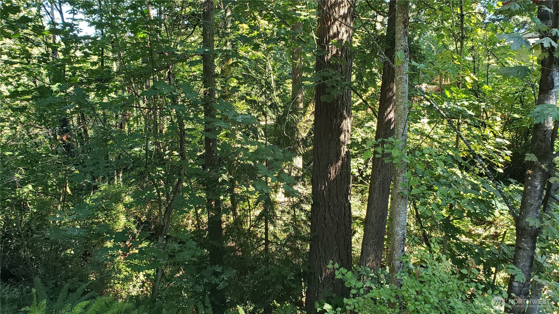 120 XX SE May Creek Park Drive , Newcastle, WA 98059