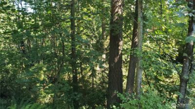 120 XX SE May Creek Park Drive , Newcastle, WA 98059 - Photo 10