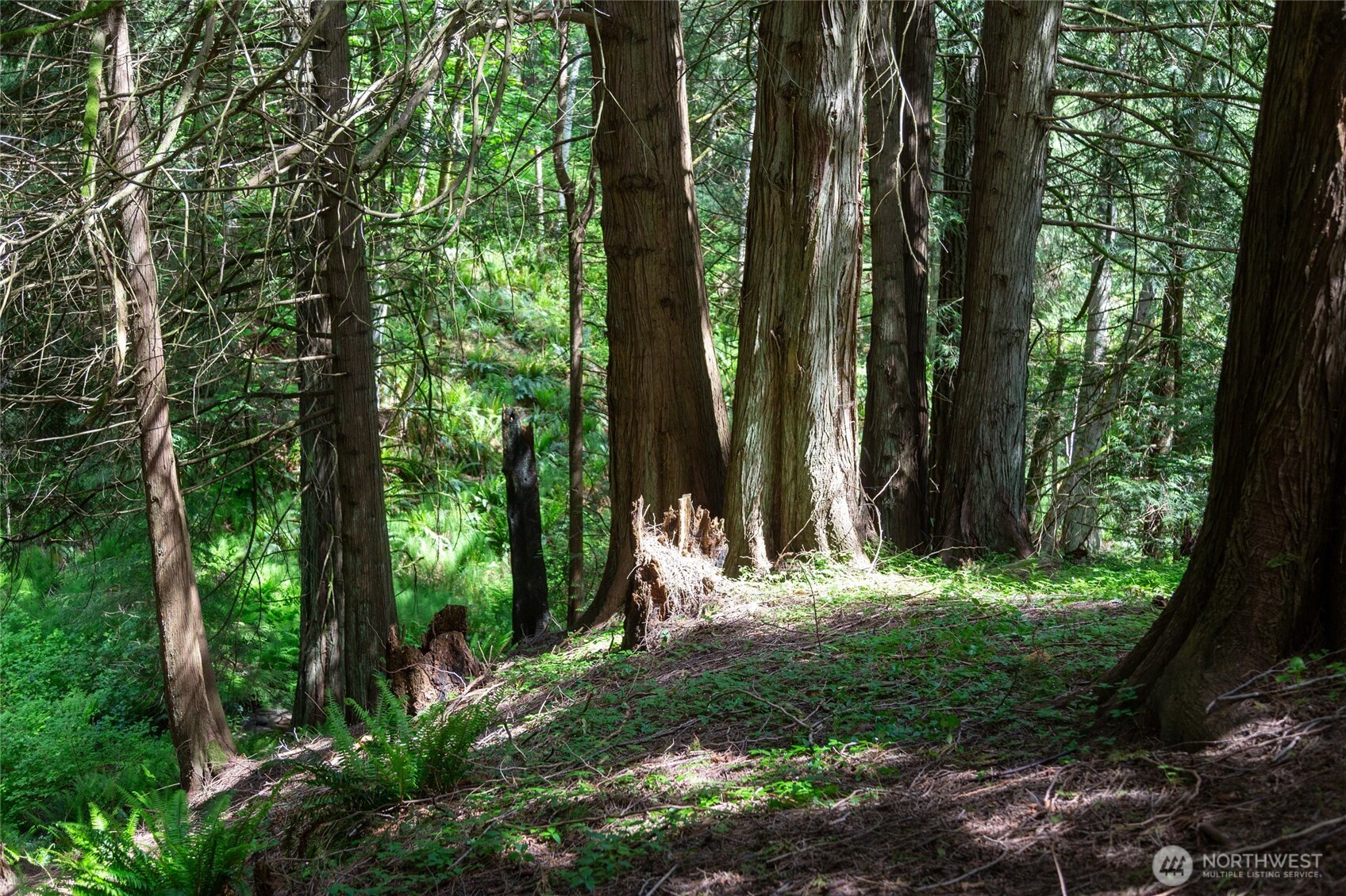 60 Miller Road , Friday Harbor, WA 98250