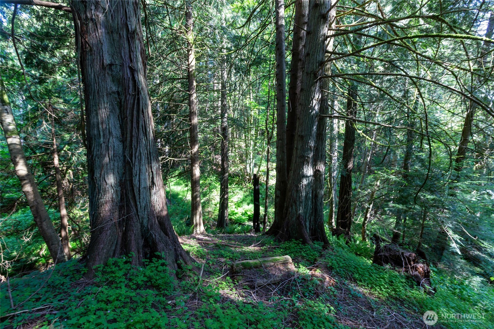 60 Miller Road , Friday Harbor, WA 98250