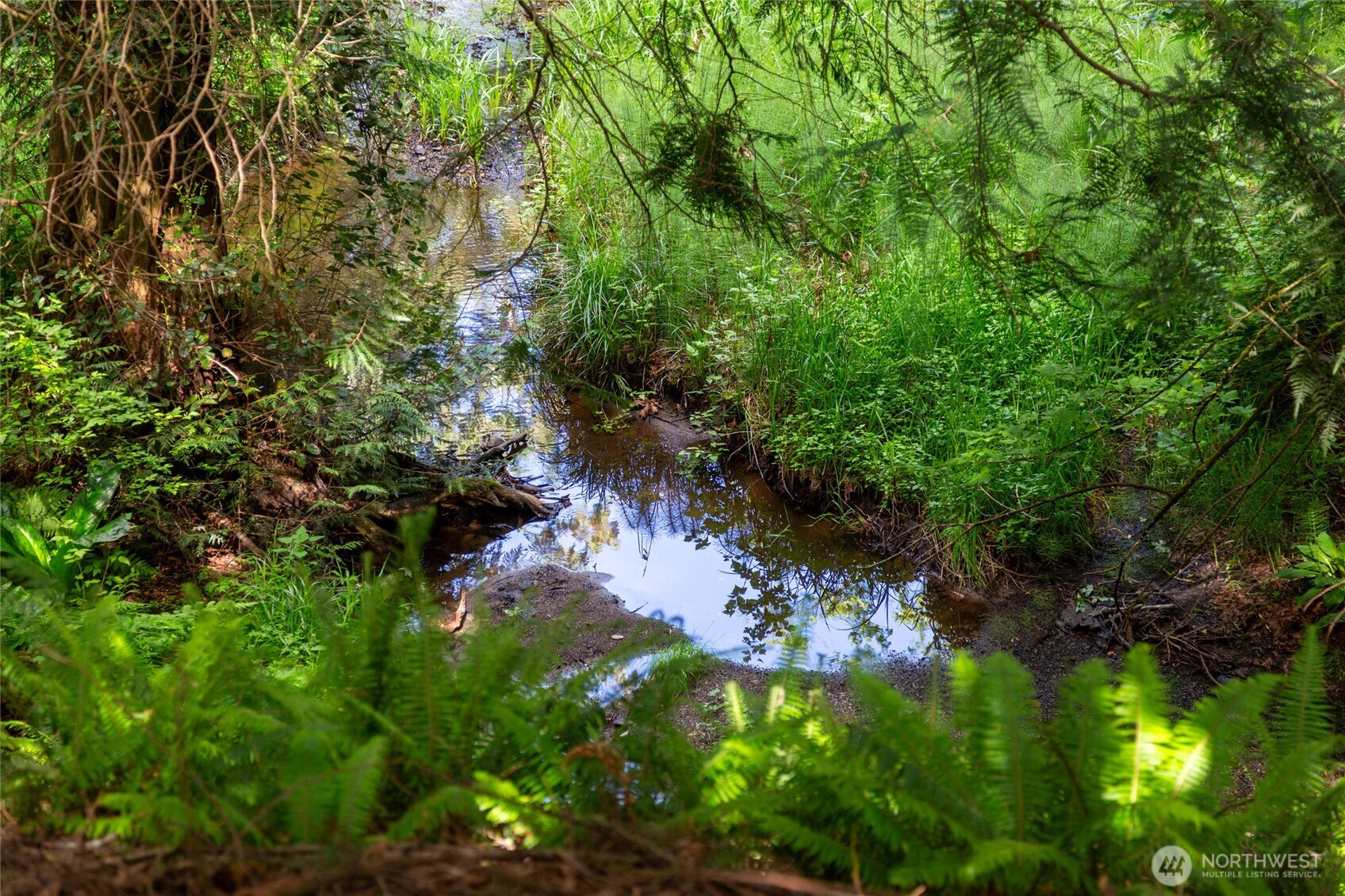 60 Miller Road , Friday Harbor, WA 98250