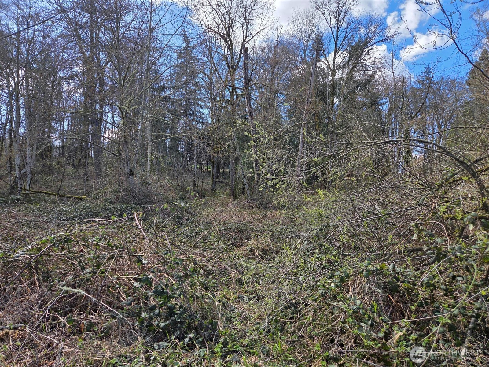 18599 SE 136th St , Renton, WA 98059