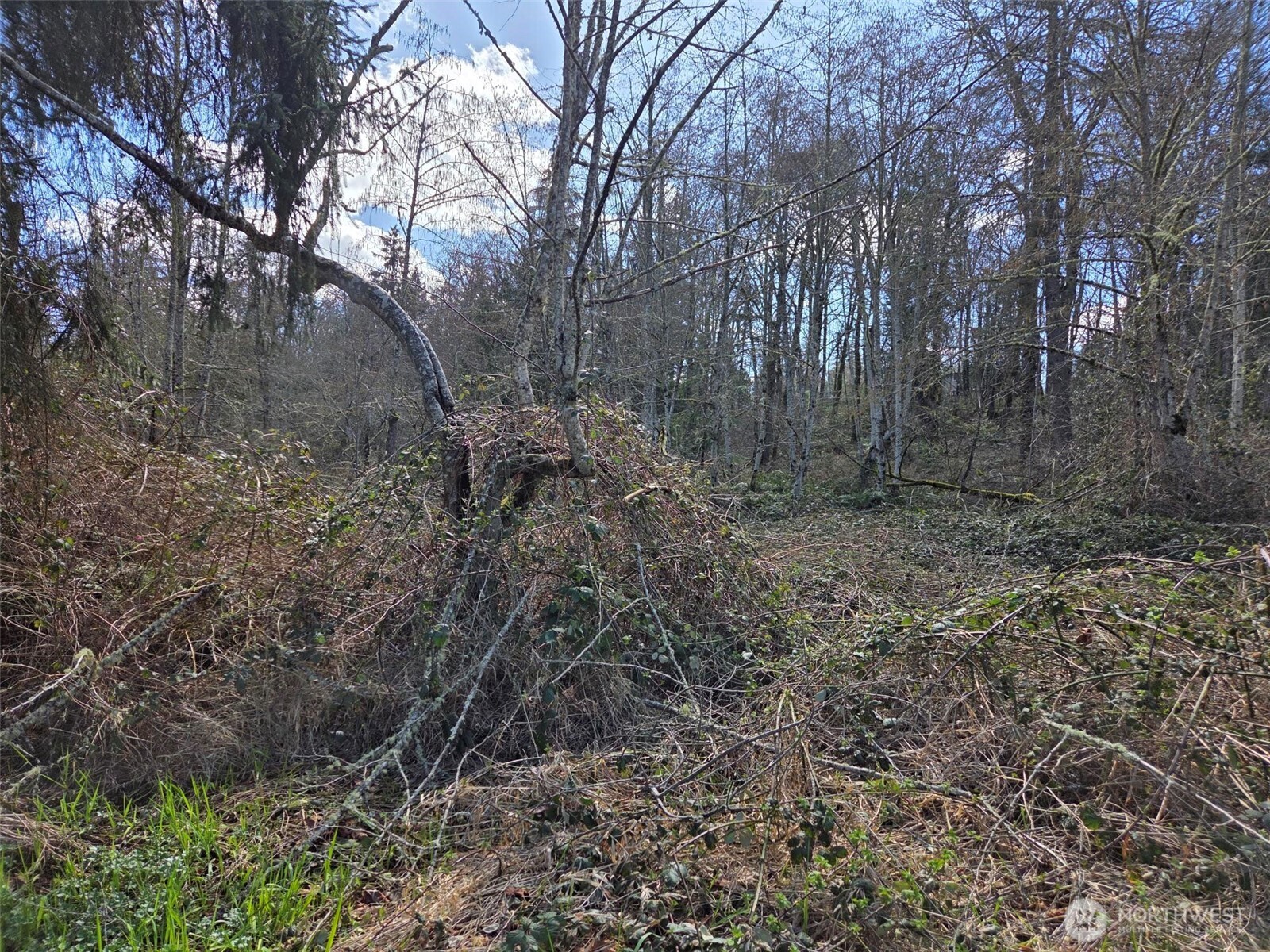 18599 SE 136th St , Renton, WA 98059