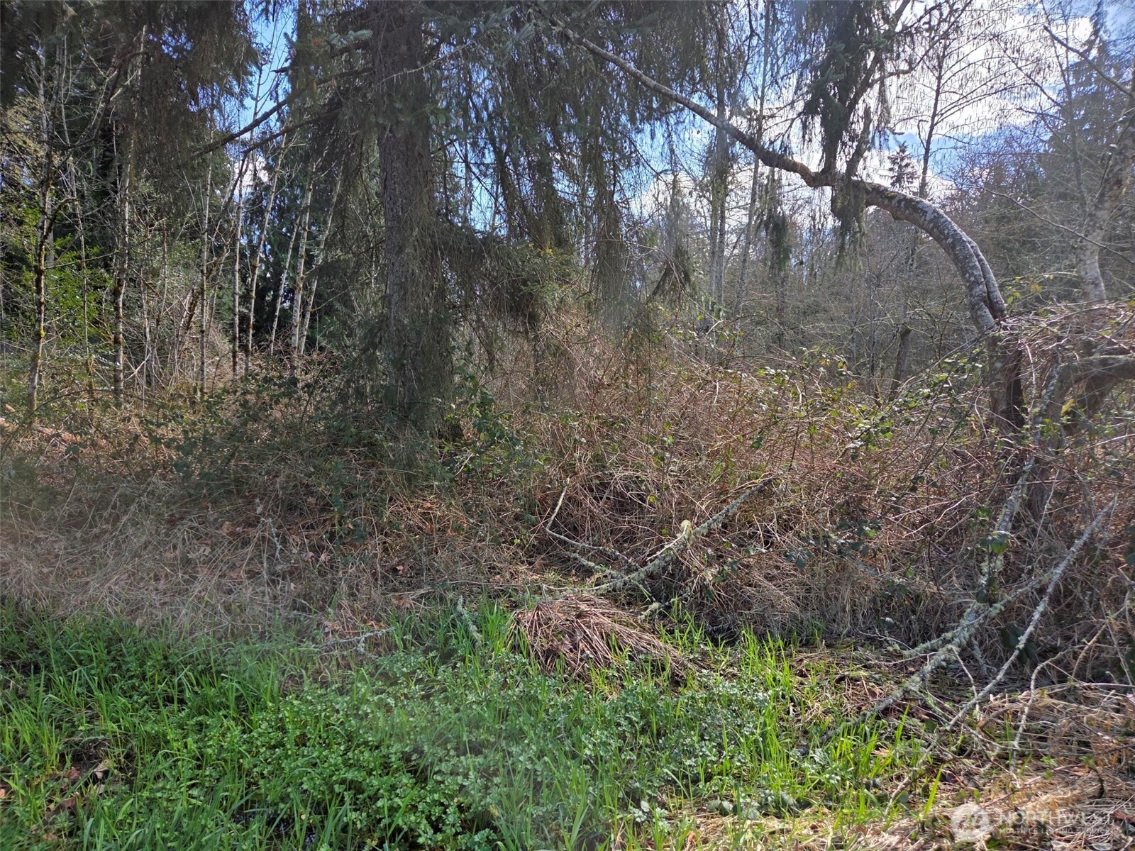 18599 SE 136th St , Renton, WA 98059