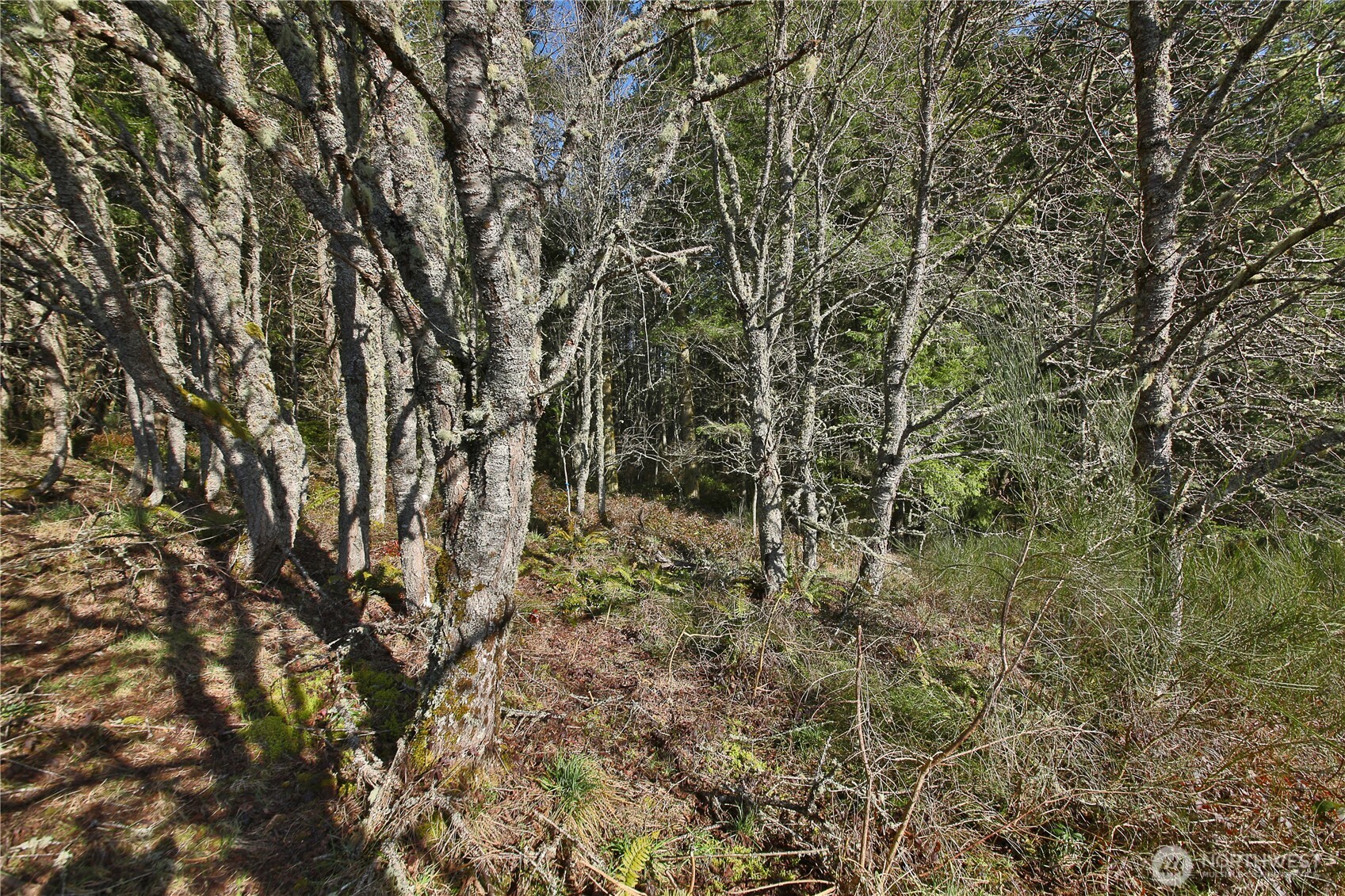 0 XXX SR 525 Road , Langley, WA 98260
