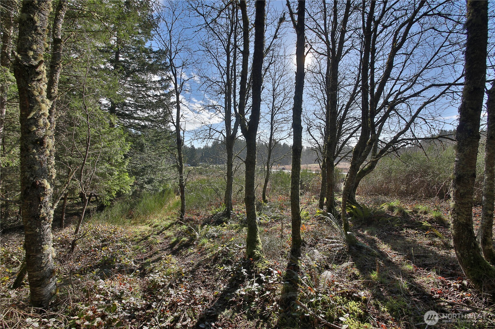 0 XXX SR 525 Road , Langley, WA 98260