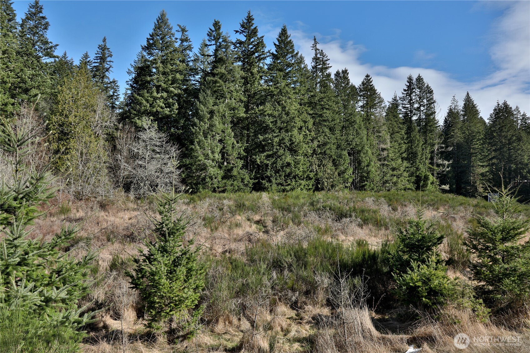 0 XXX SR 525 Road , Langley, WA 98260