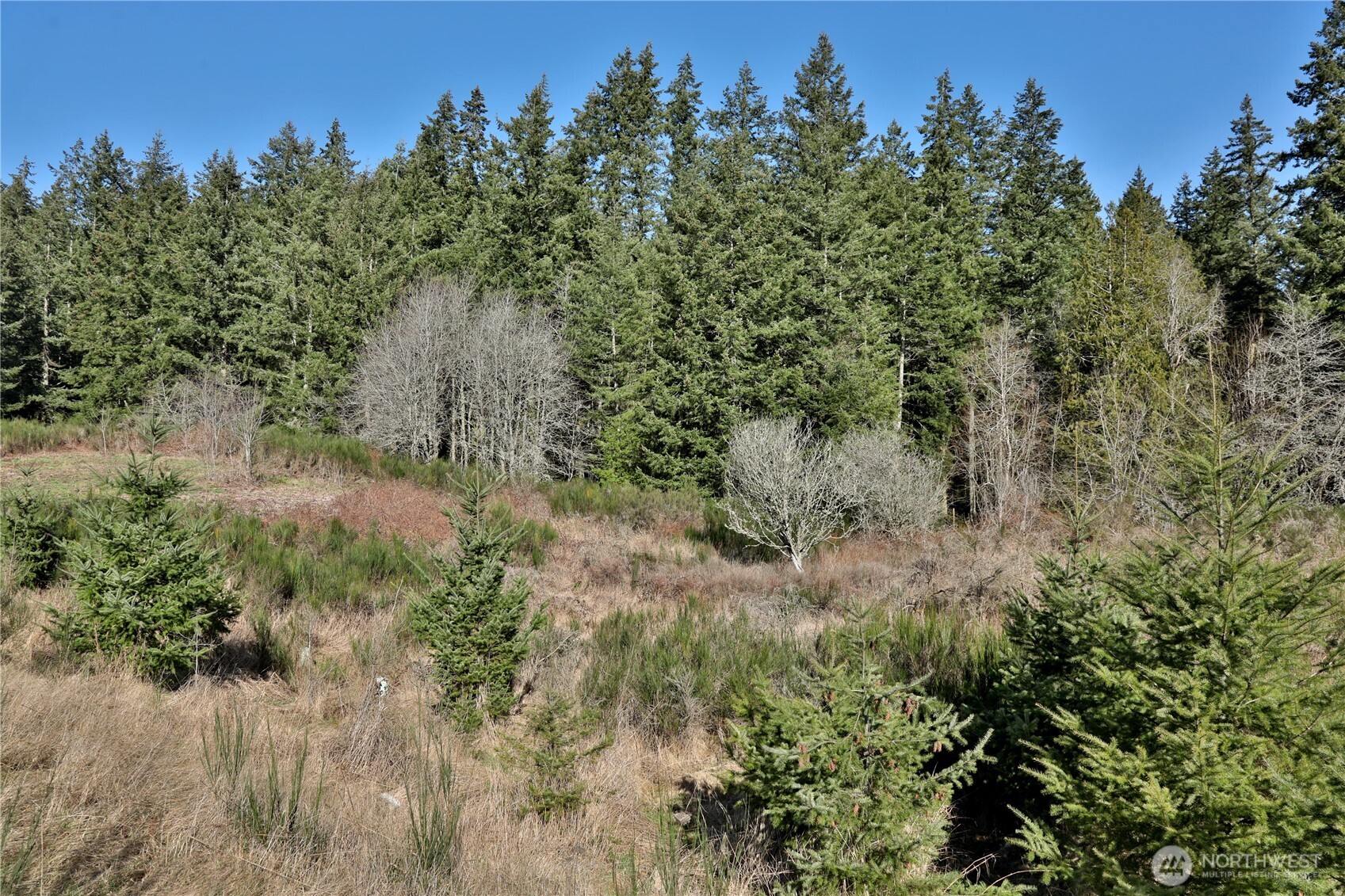 0 XXX SR 525 Road , Langley, WA 98260