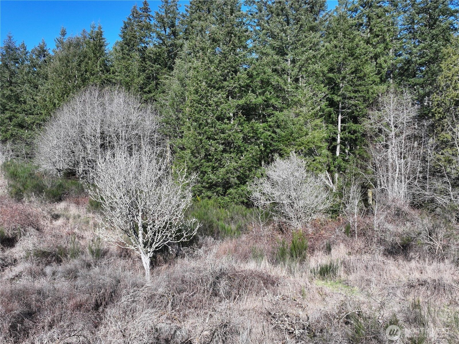 0 XXX SR 525 Road , Langley, WA 98260