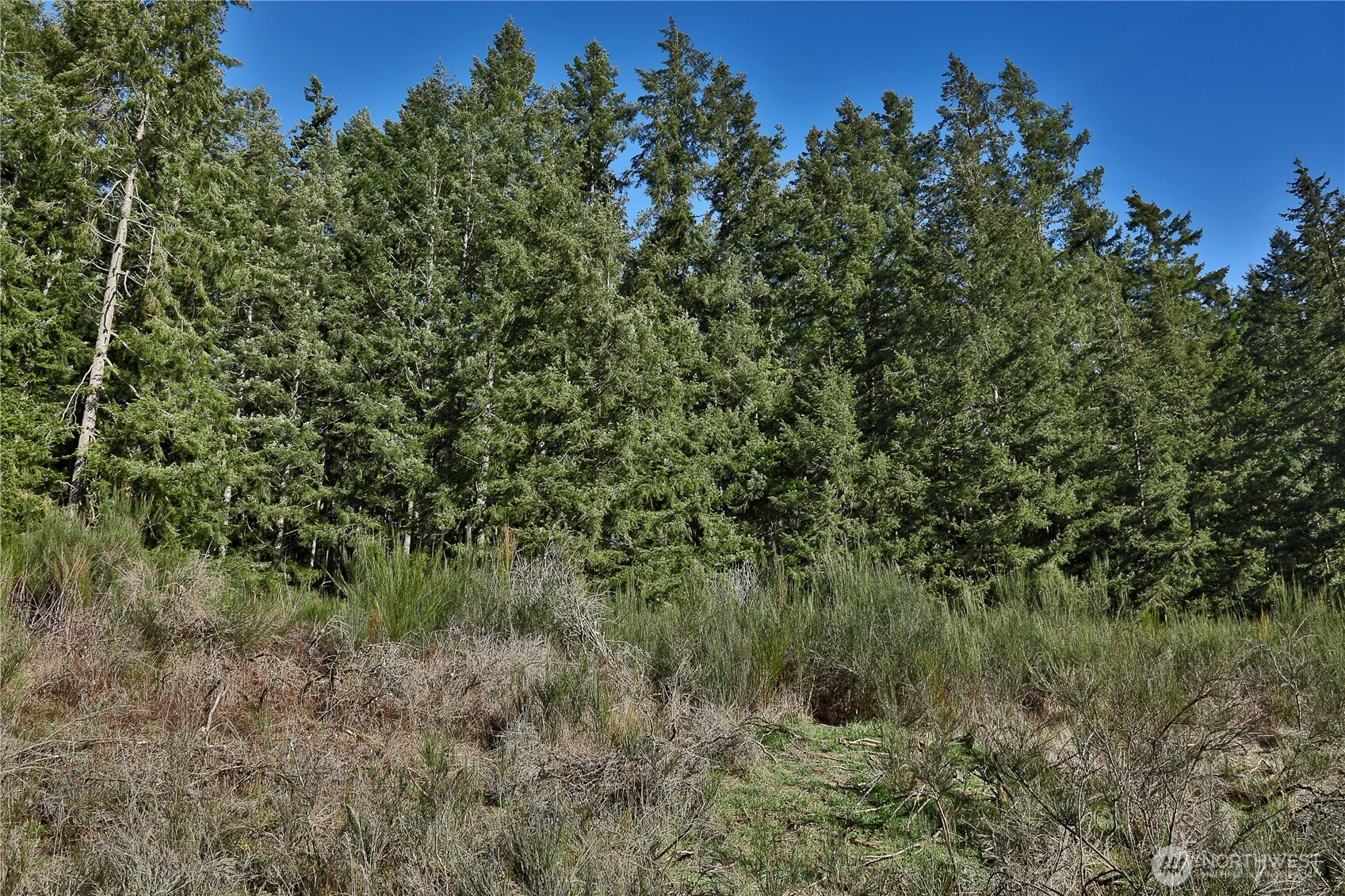 0 XXX SR 525 Road , Langley, WA 98260