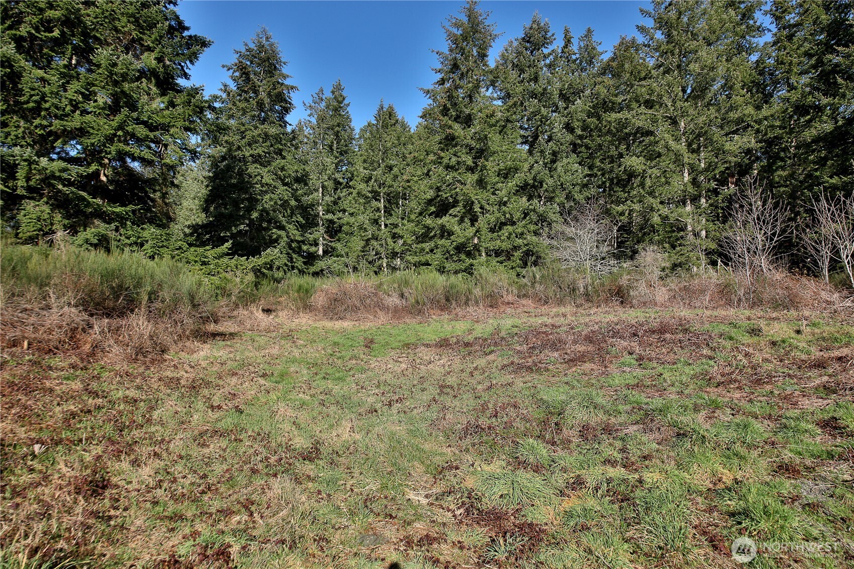 0 XXX SR 525 Road , Langley, WA 98260