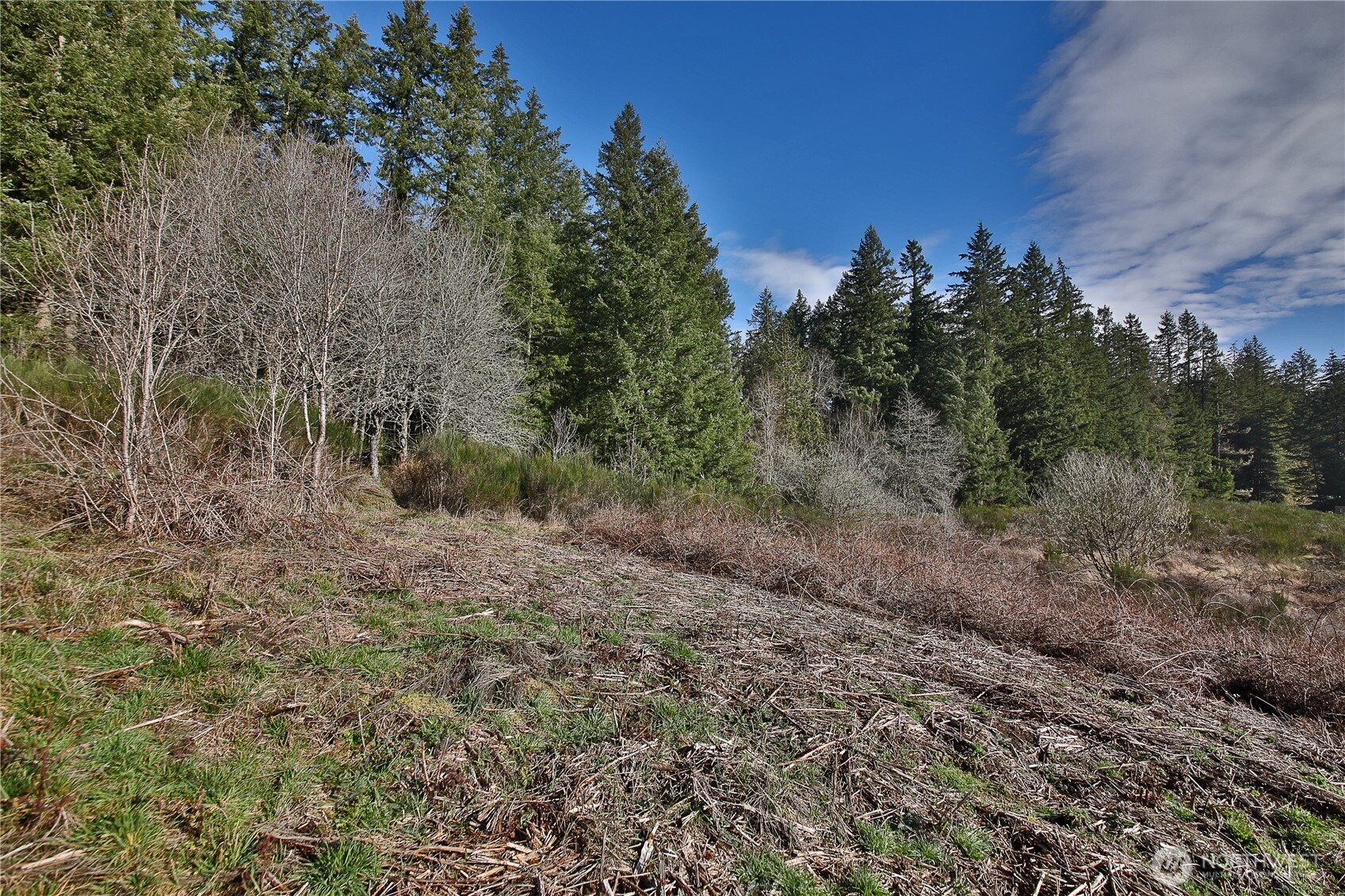 0 XXX SR 525 Road , Langley, WA 98260