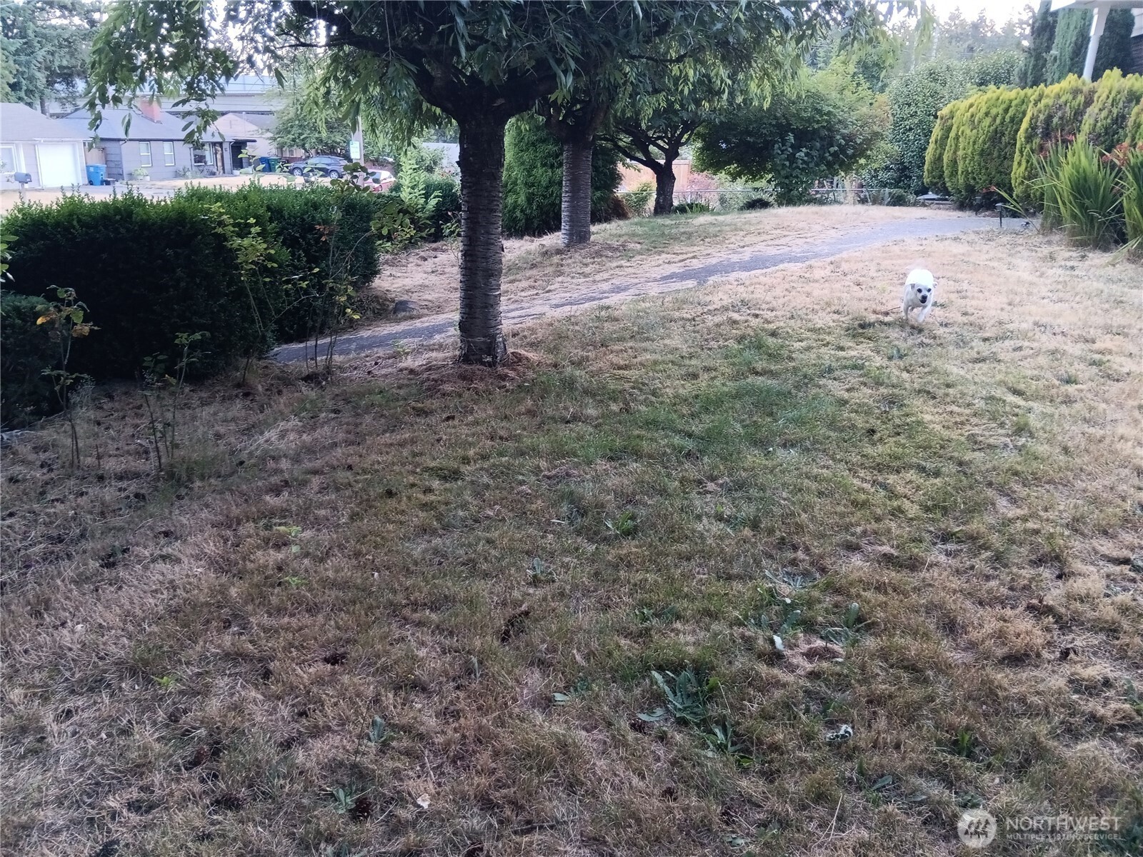 522 NE 127th Street , Seattle, WA 98125-3927