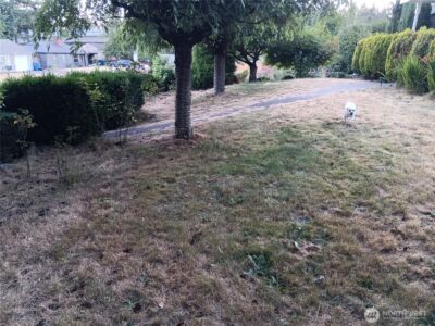 522 NE 127th Street , Seattle, WA 98125-3927 - Photo 12