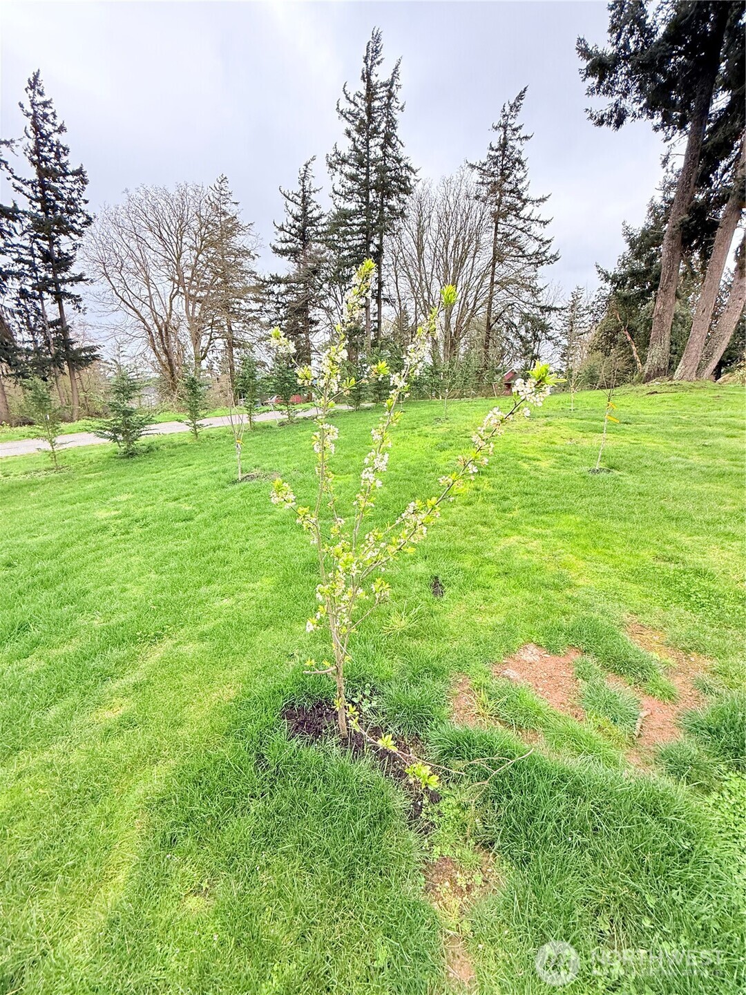 0 1 & 2 M Olympic Drive , Hat Island, WA 98206