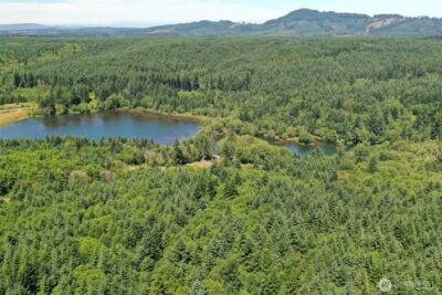 21500 Tono Road SE, Centralia, WA 98531 - Photo 2