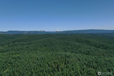 21500 Tono Road SE, Centralia, WA 98531 - Photo 26