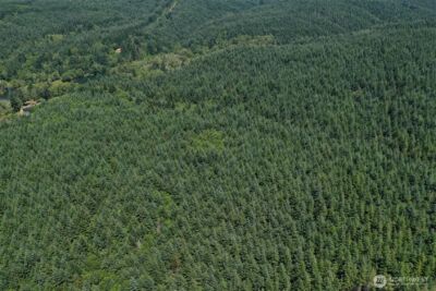 21500 Tono Road SE, Centralia, WA 98531 - Photo 29