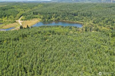 21500 Tono Road SE, Centralia, WA 98531 - Photo 3