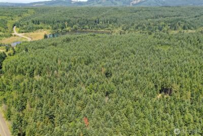 21500 Tono Road SE, Centralia, WA 98531 - Photo 4