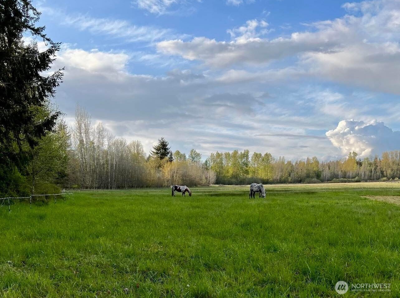 3925 Harts Lake Road S, Roy, WA 98580