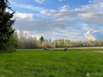 3925 Harts Lake Road S, Roy, WA 98580 - Photo 2