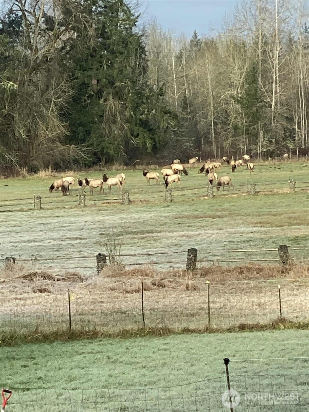 3925 Harts Lake Road S, Roy, WA 98580