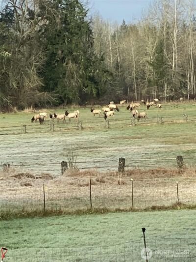 3925 Harts Lake Road S, Roy, WA 98580 - Photo 3