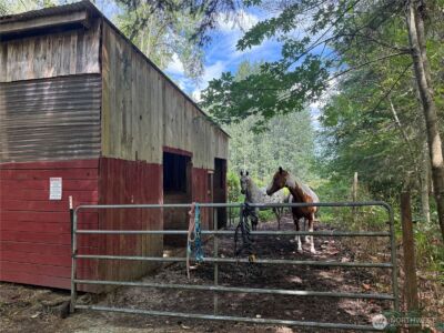 3925 Harts Lake Road S, Roy, WA 98580 - Photo 5